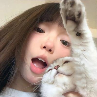 多情的野猫